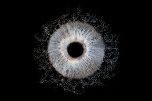 oeil bleu