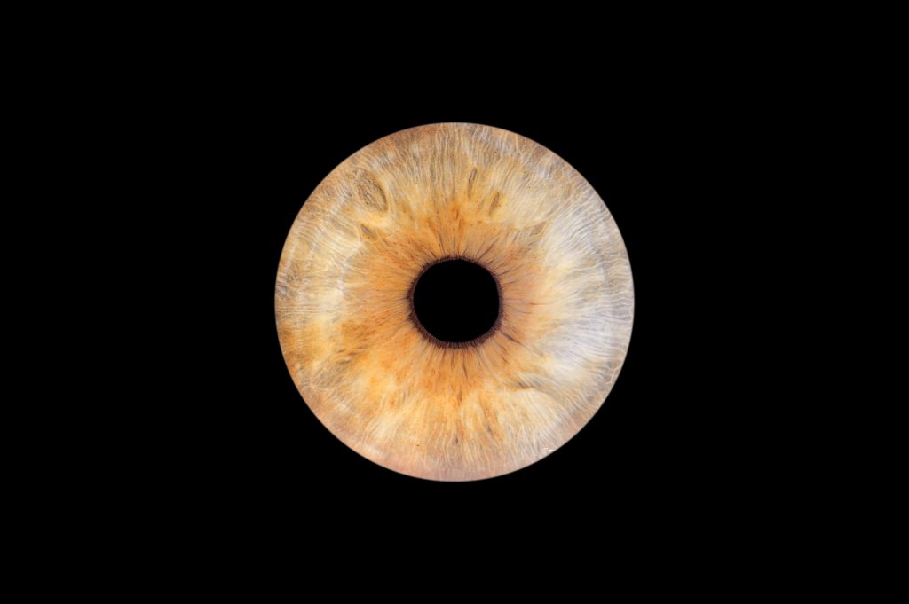 1 iris