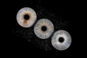 3 iris