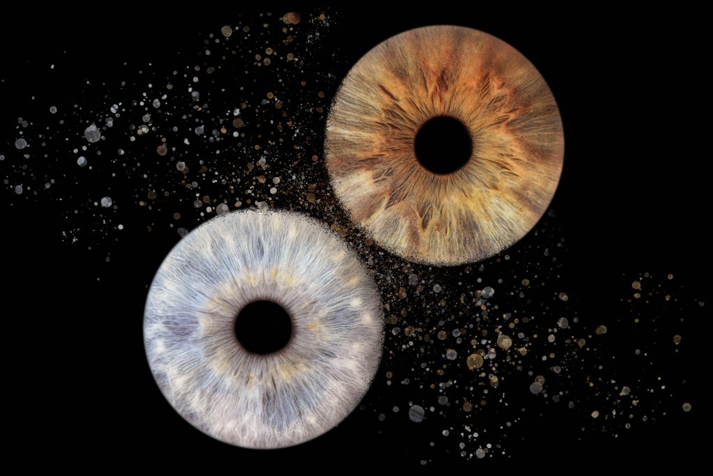 deux iris